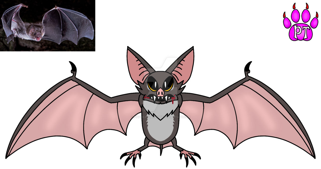 Vampire Bat by PTsCreatureVerse on DeviantArt