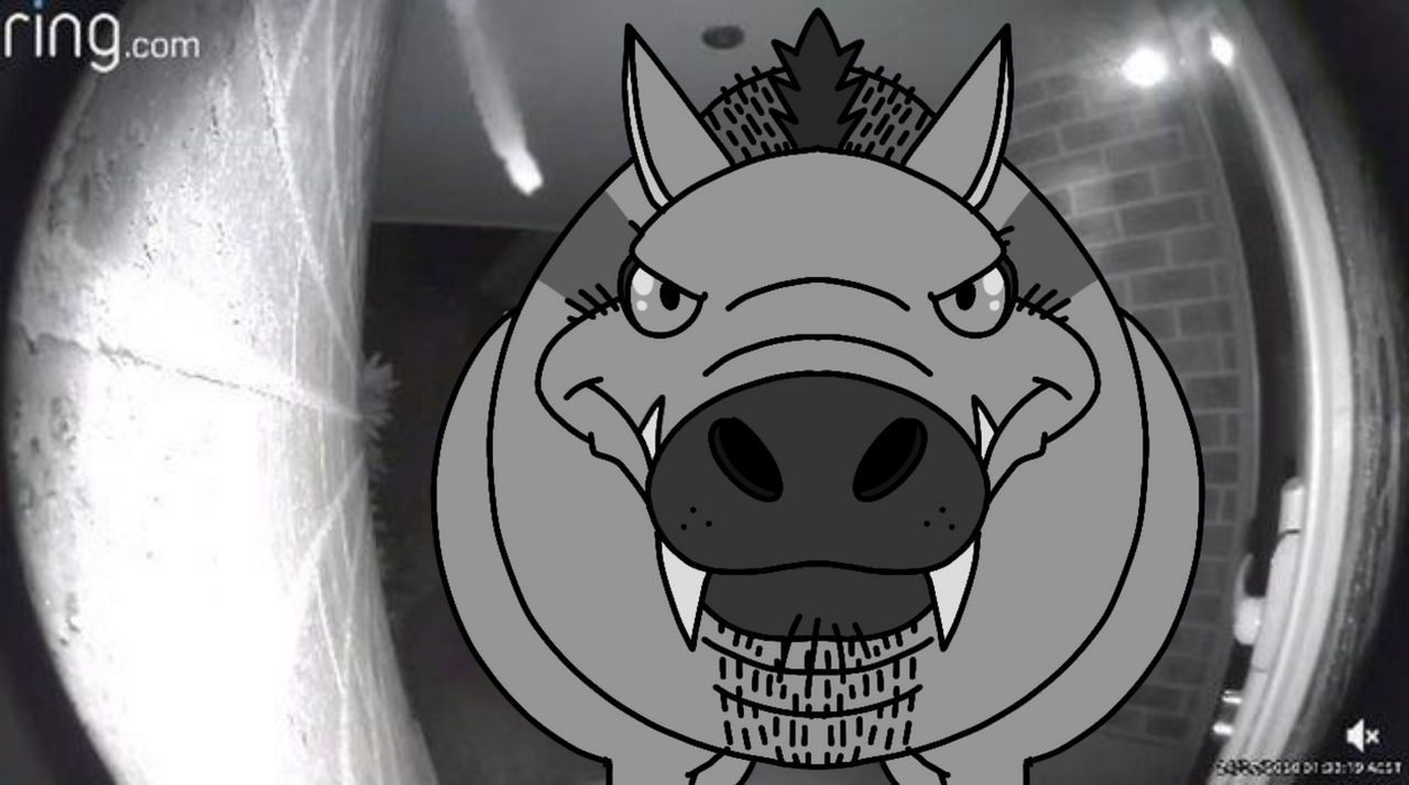 Daeodon at the Door by PTsCreatureVerse on DeviantArt