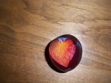 Plum Love