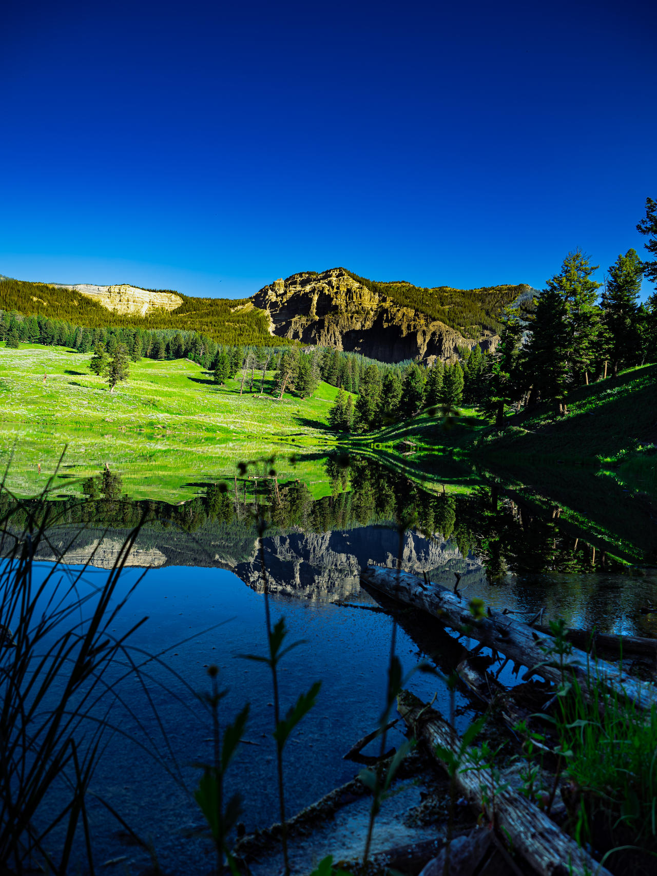 Reflection by buffetbuster on DeviantArt