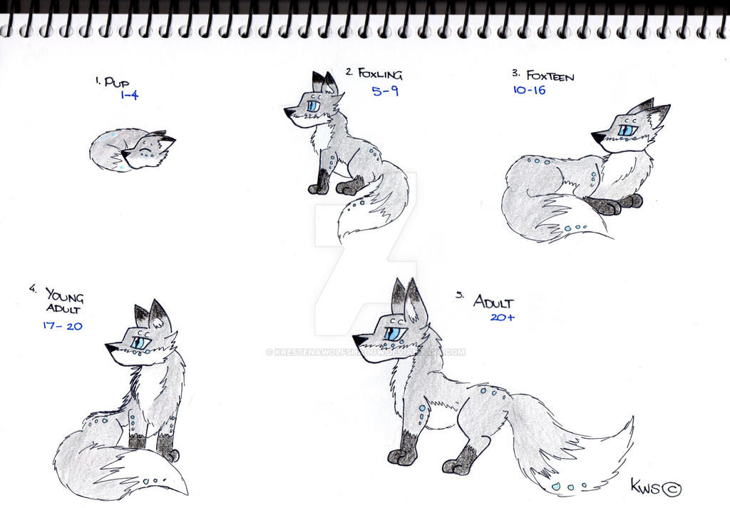 Light Fox Age Chart by KrestenaWolfShadow on DeviantArt