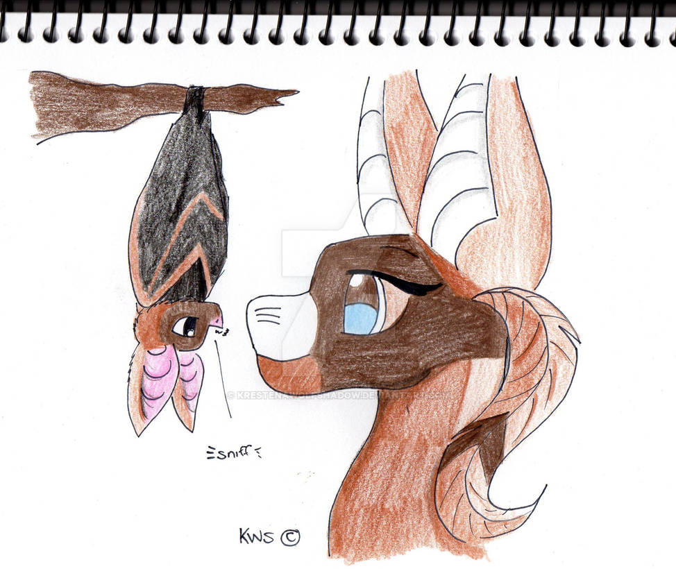 Snitch Bat Hello There Mr Bat by KrestenaWolfShadow on DeviantArt