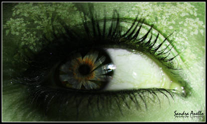 Green eye 2