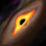 Black hole accretion disk