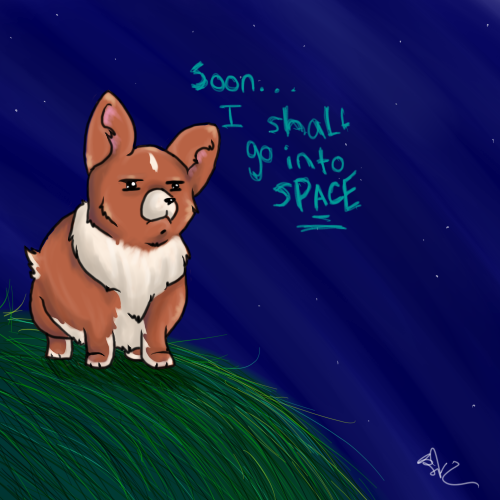 space corgi