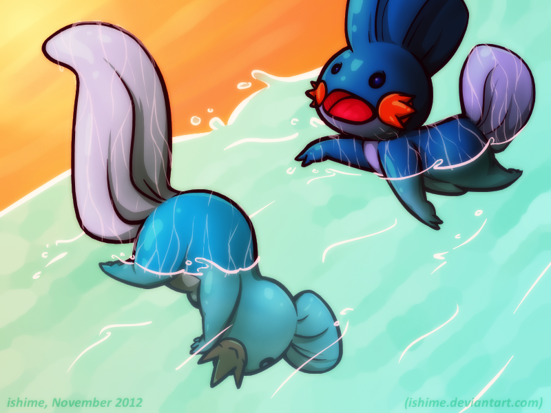 Pokemon - Bathtime for mudkips