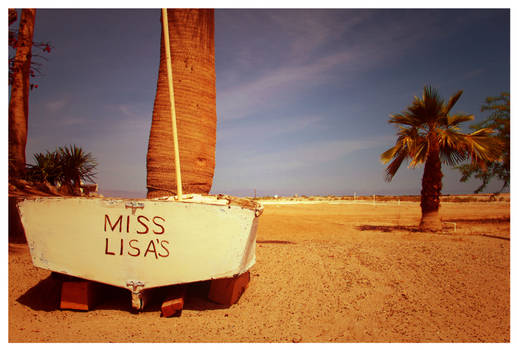 Miss Lisa's