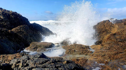 on the rocks