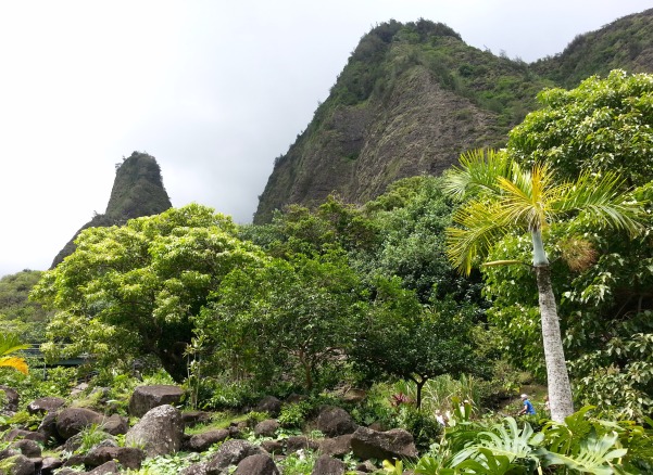 Hawaii Beautiful Landscapes