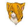 [p.c] TigerKatKitty