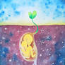 The Seed