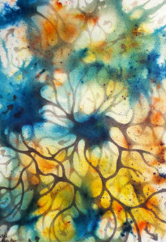 Synapses