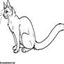Cat Outline- Alibi-cat