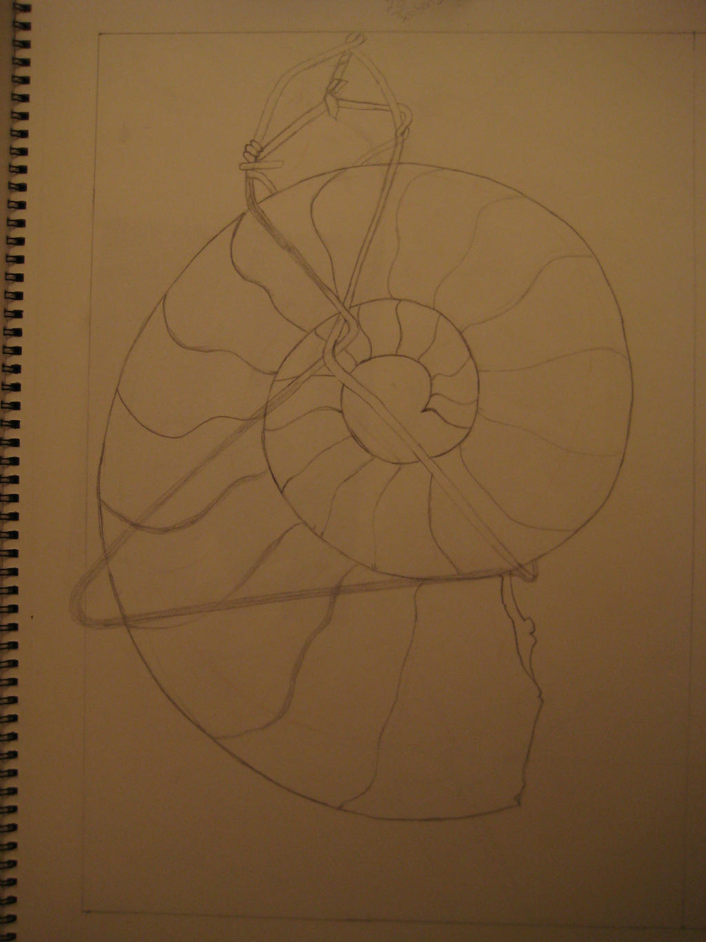 Shell pendant line drawing by aurevoirpour on DeviantArt