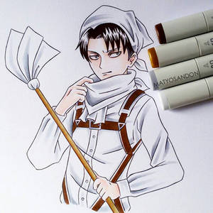 Levi cleaning 