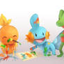 Hoenn Starters