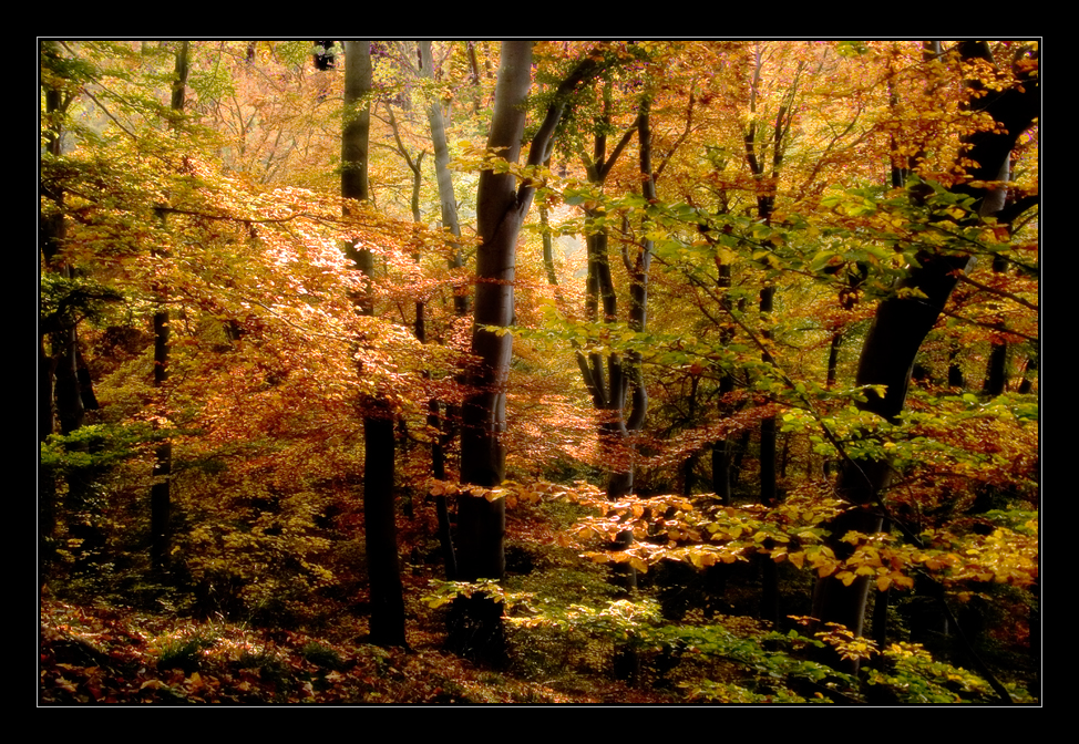 autumn in bavaria no.10