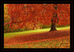 autumn by Hartmut-Lerch