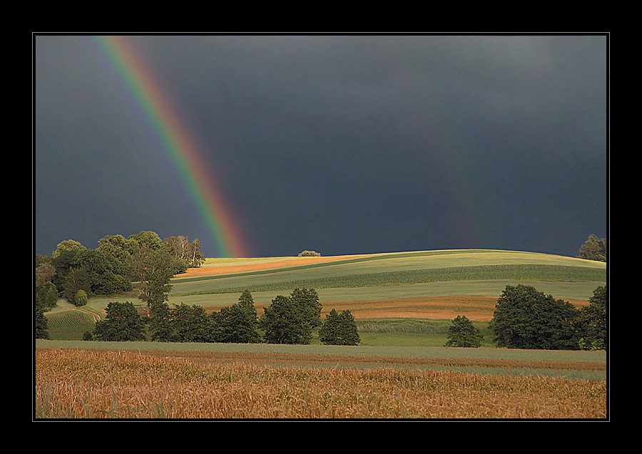 Rainbow and Fields