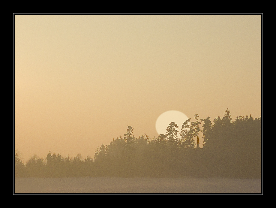 fog and sun