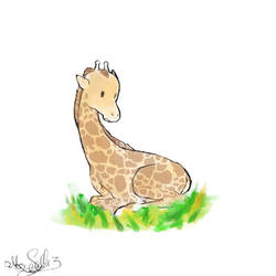 Giraffeeeeee