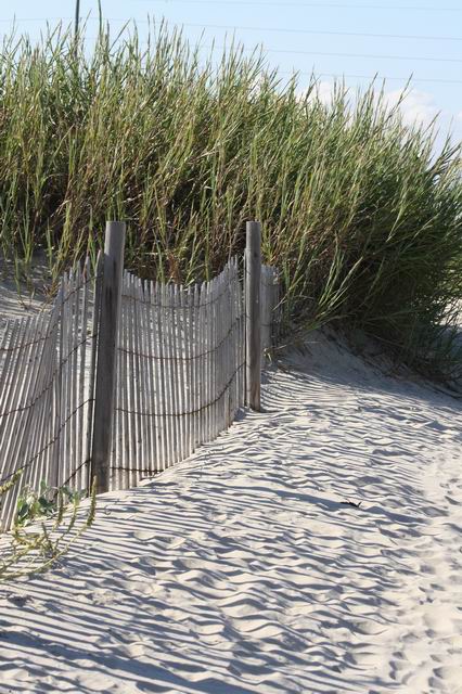 Dune Fence 2