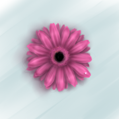 Gerbera