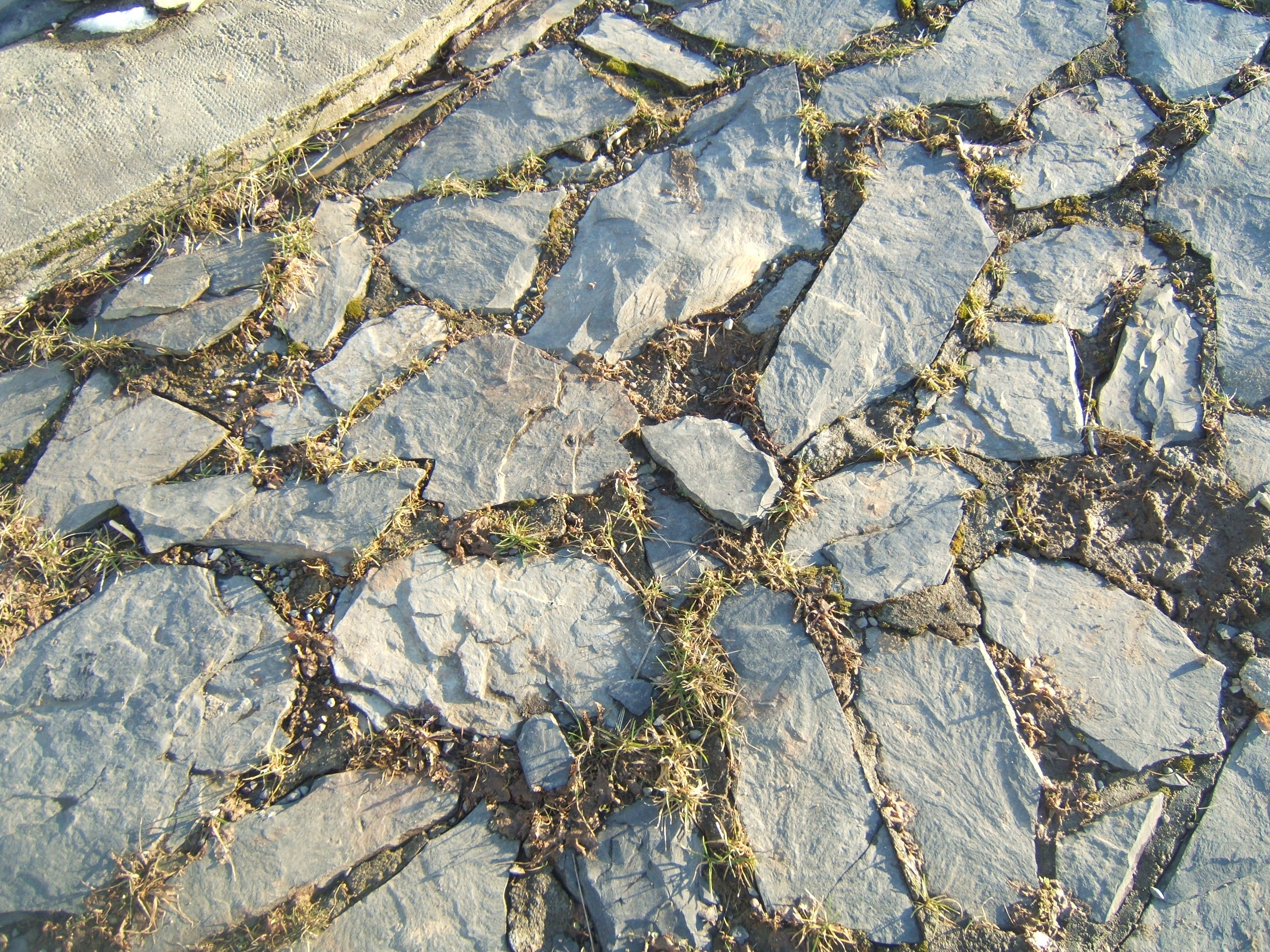 Rock Texture 3