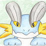 Swampert2