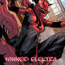 MARTIAL ARTS WINNER: ELEKTRA