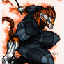Thundercats Tygra