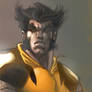 Wolverine doodle