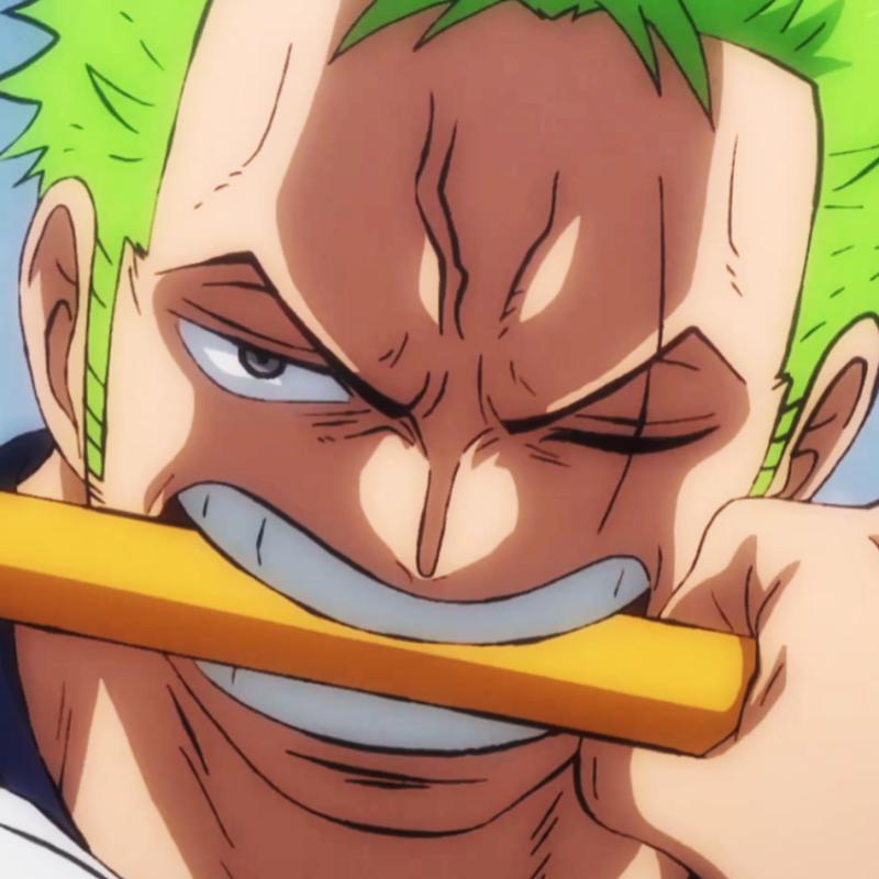 Zoro PFP  Anime, Roronoa zoro, One piece manga