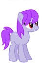 Purple Pony Cropped