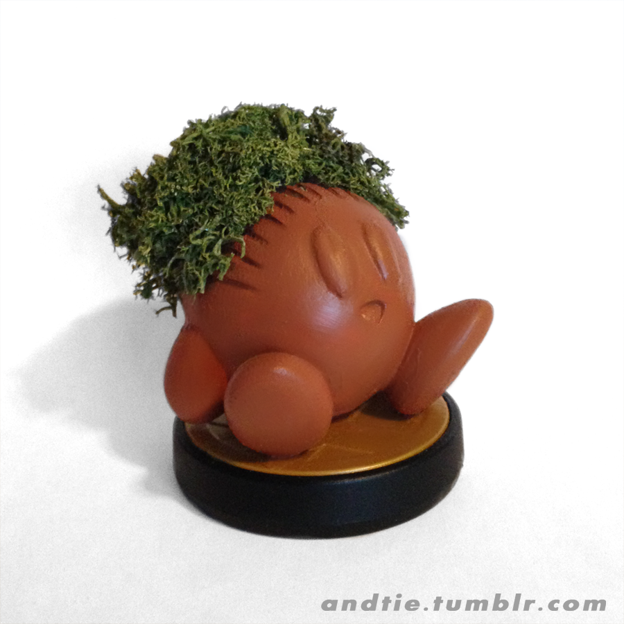 Personalized sales chia pet
