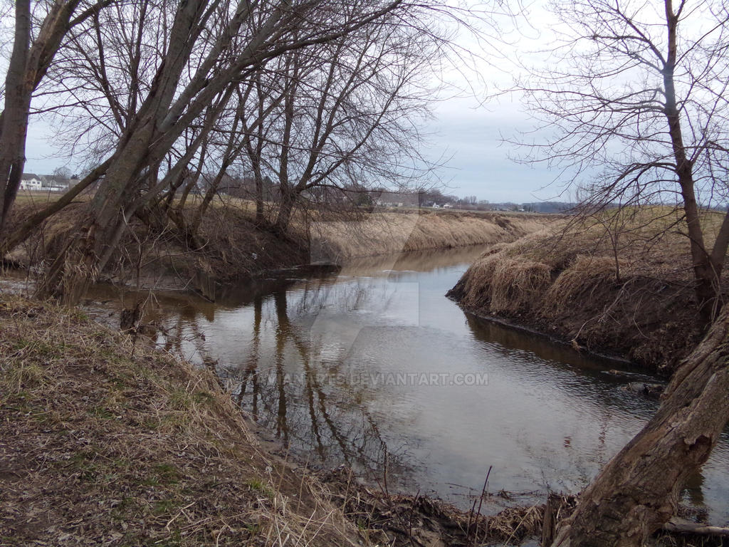 Spring Scenery by AvianArts on DeviantArt