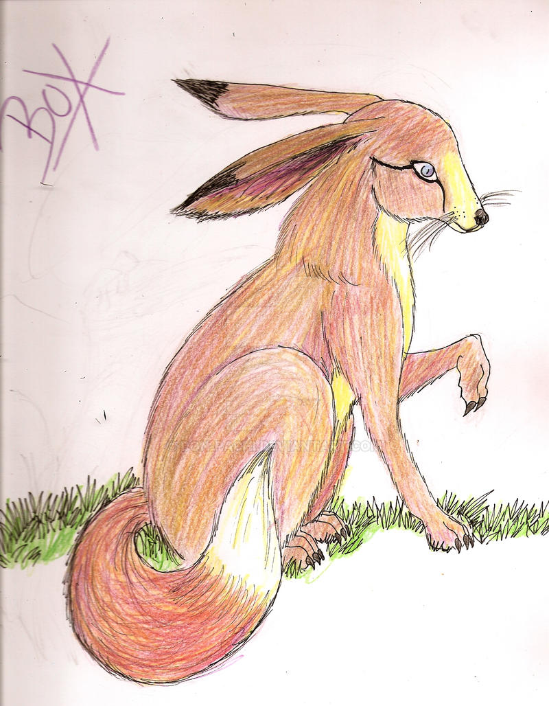 Fox-Rabbit Hybrid by Don-Pachi on DeviantArt