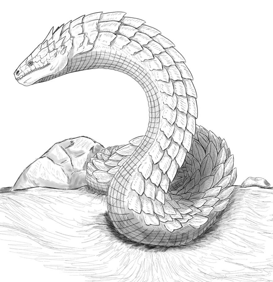 Wyrm by ArchAngel23 on DeviantArt