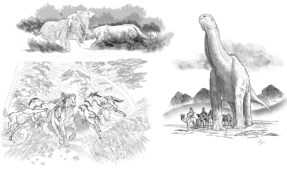 Field Experiences by ArchAngel23 on DeviantArt