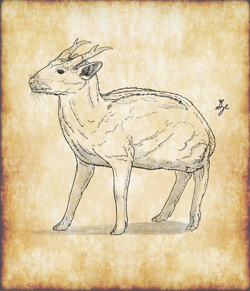 Tiny Dream by ArchAngel23 on DeviantArt