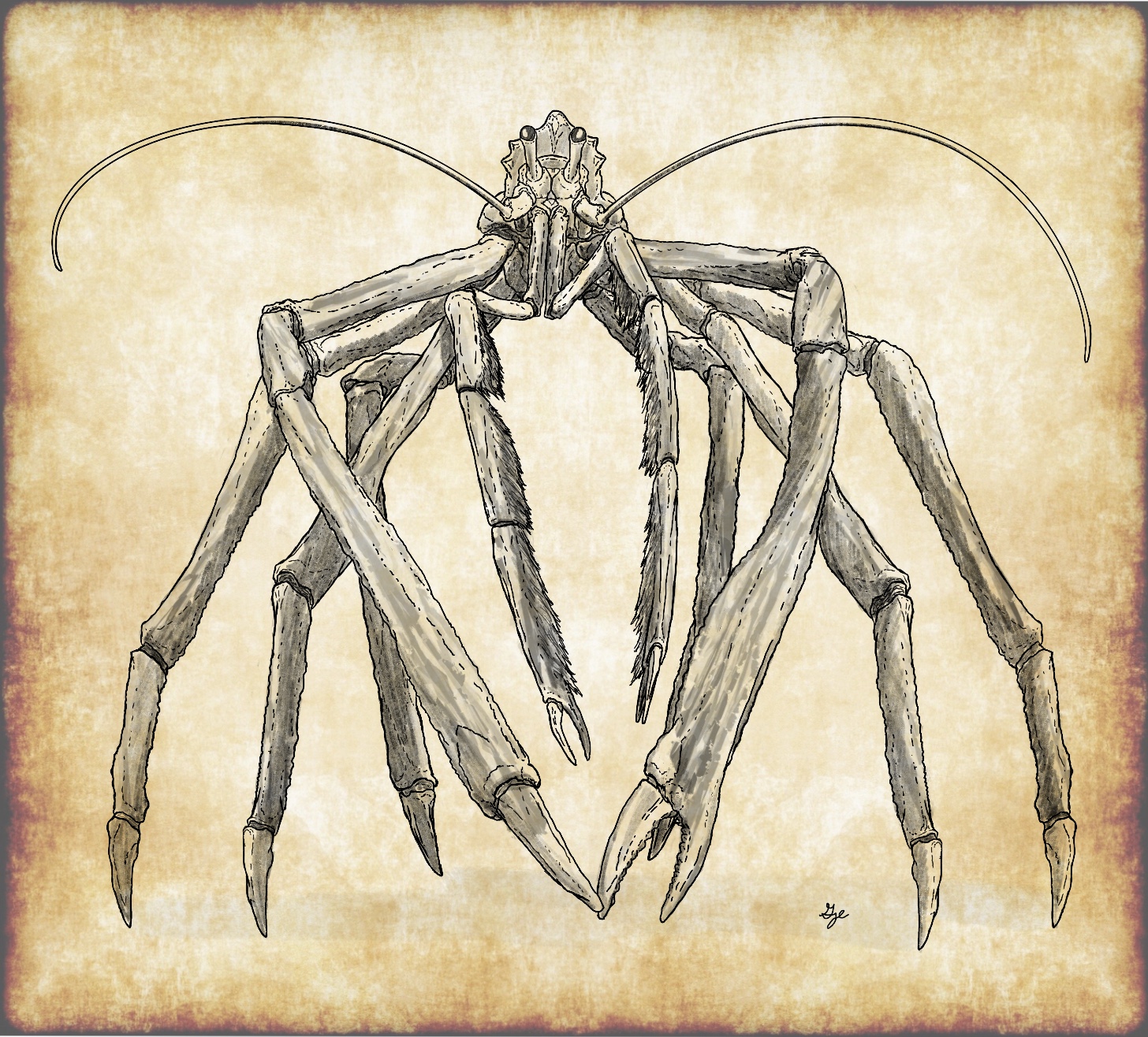 Hide and Seek by ArchAngel23 on DeviantArt