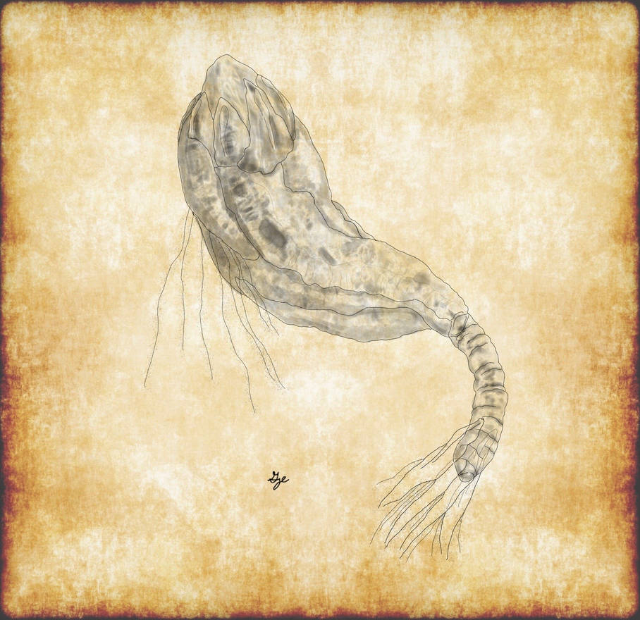 Ocean Phantom by ArchAngel23 on DeviantArt