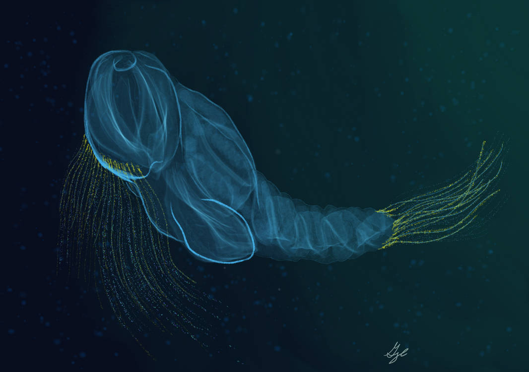 Ocean Phantom by ArchAngel23 on DeviantArt