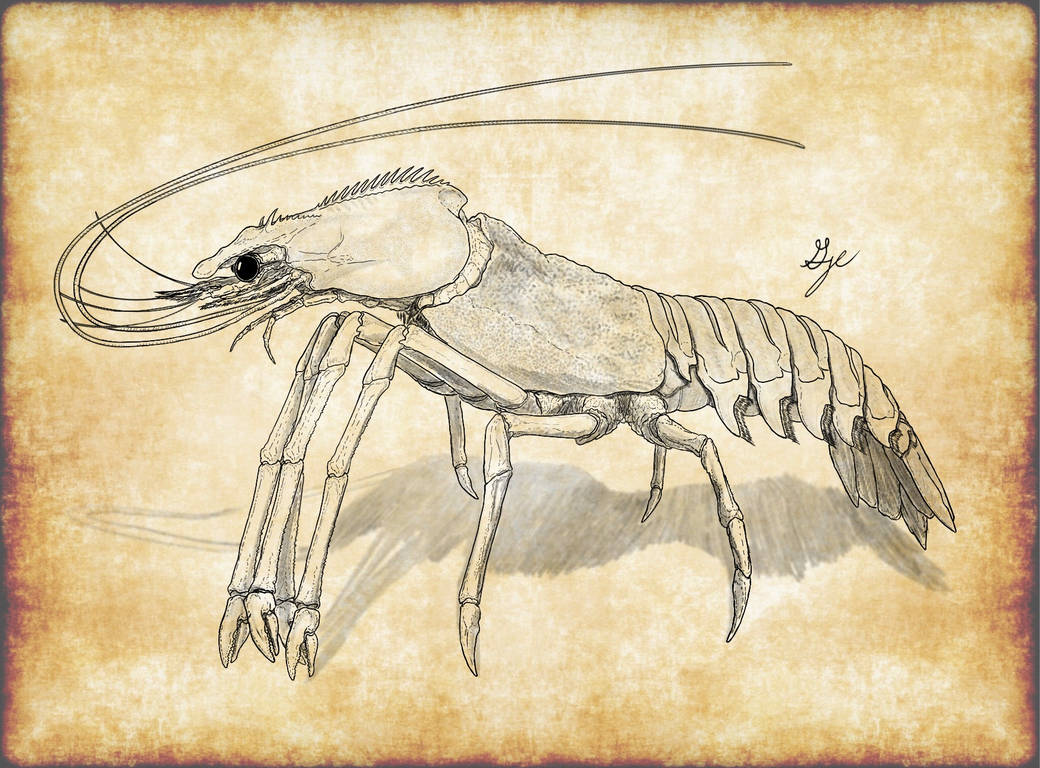 Steed of Poseidon by ArchAngel23 on DeviantArt