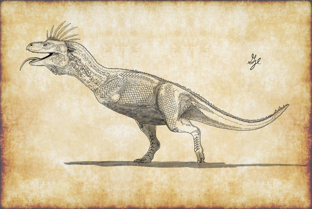 Heraldry by ArchAngel23 on DeviantArt