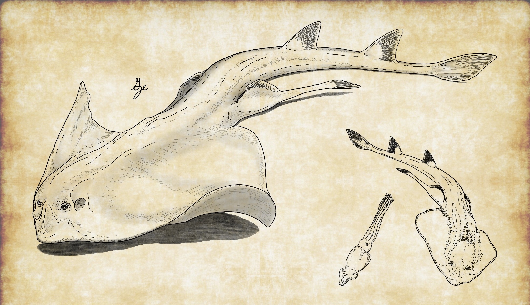 Antarctic Ghost by ArchAngel23 on DeviantArt