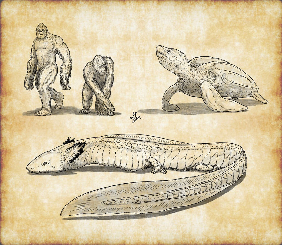 Southern Beasts by ArchAngel23 on DeviantArt