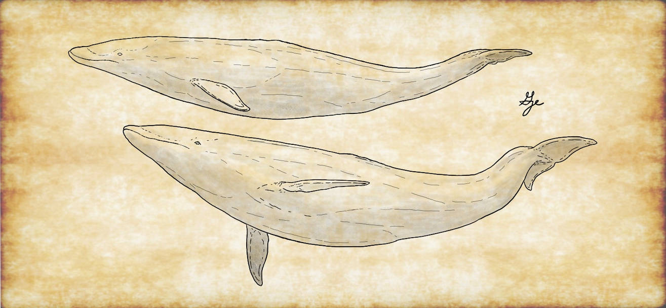 Lake Enigma by ArchAngel23 on DeviantArt