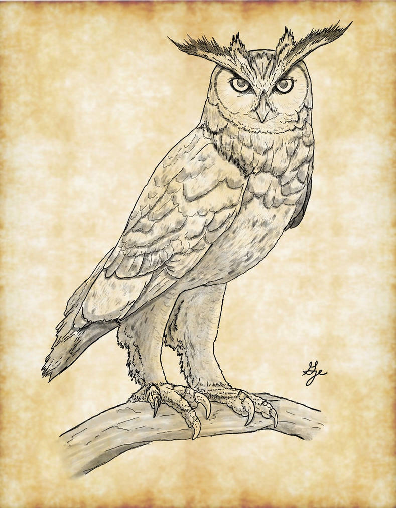 Ill Omen by ArchAngel23 on DeviantArt