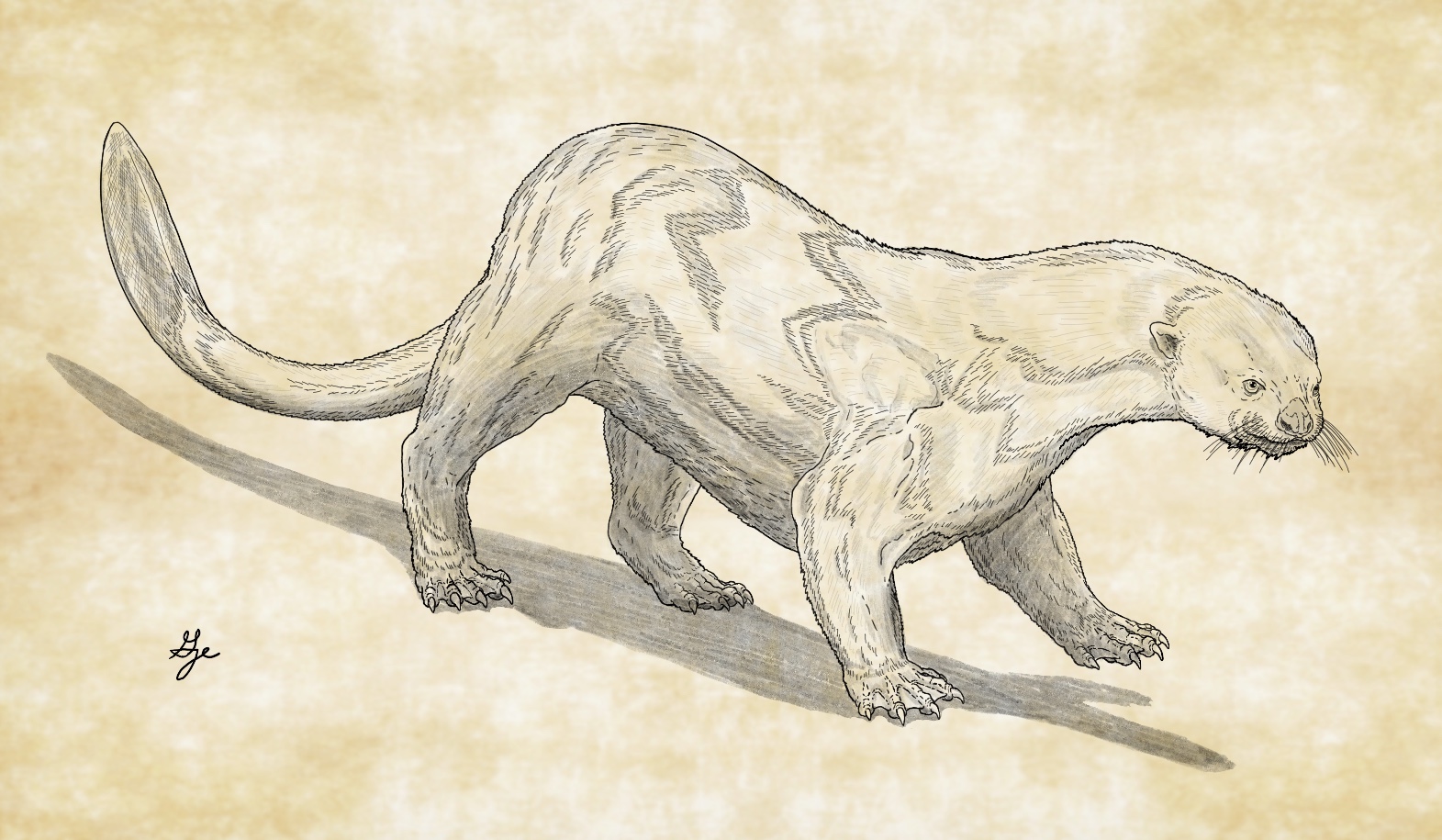 King Otter by ArchAngel23 on DeviantArt